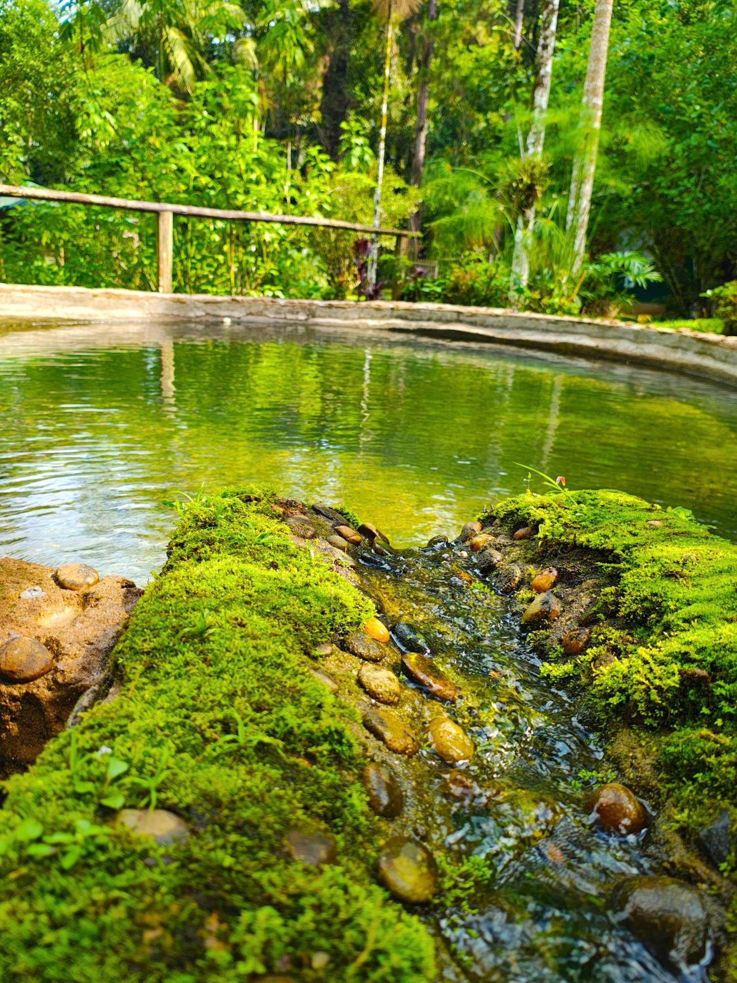 Pousada Romantica Serra Da Mata Penedo  Buitenkant foto
